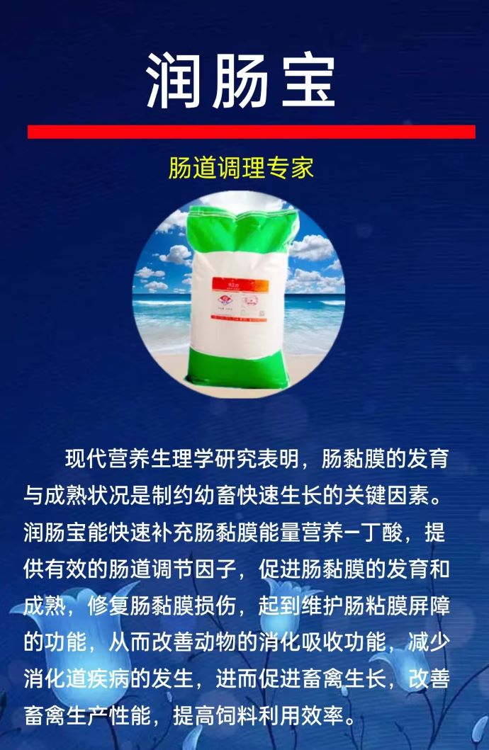 ��ϵ����